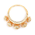 The Sovereign Dome Kada